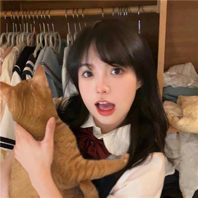 三只流浪猫