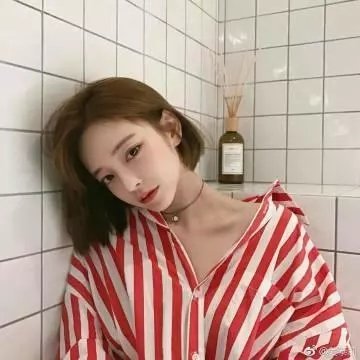 总统的危机